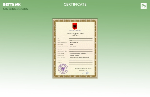 Модерен стил на Албанија шаблон ПСД од Украина за смрт